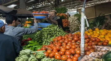 استقرار الأسعار.. سوق العبور يثبت أسعار الخضروات والفاكهة ليوم الجمعة 21 نوفمبر 2025